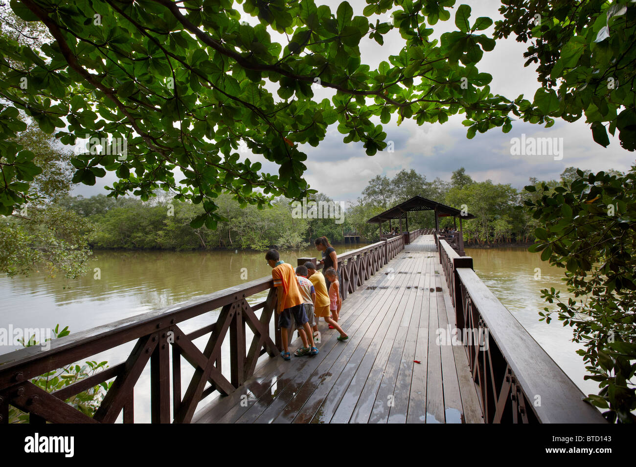 Sungei Buloh Wetland Reserve, Singapur Stockfoto
