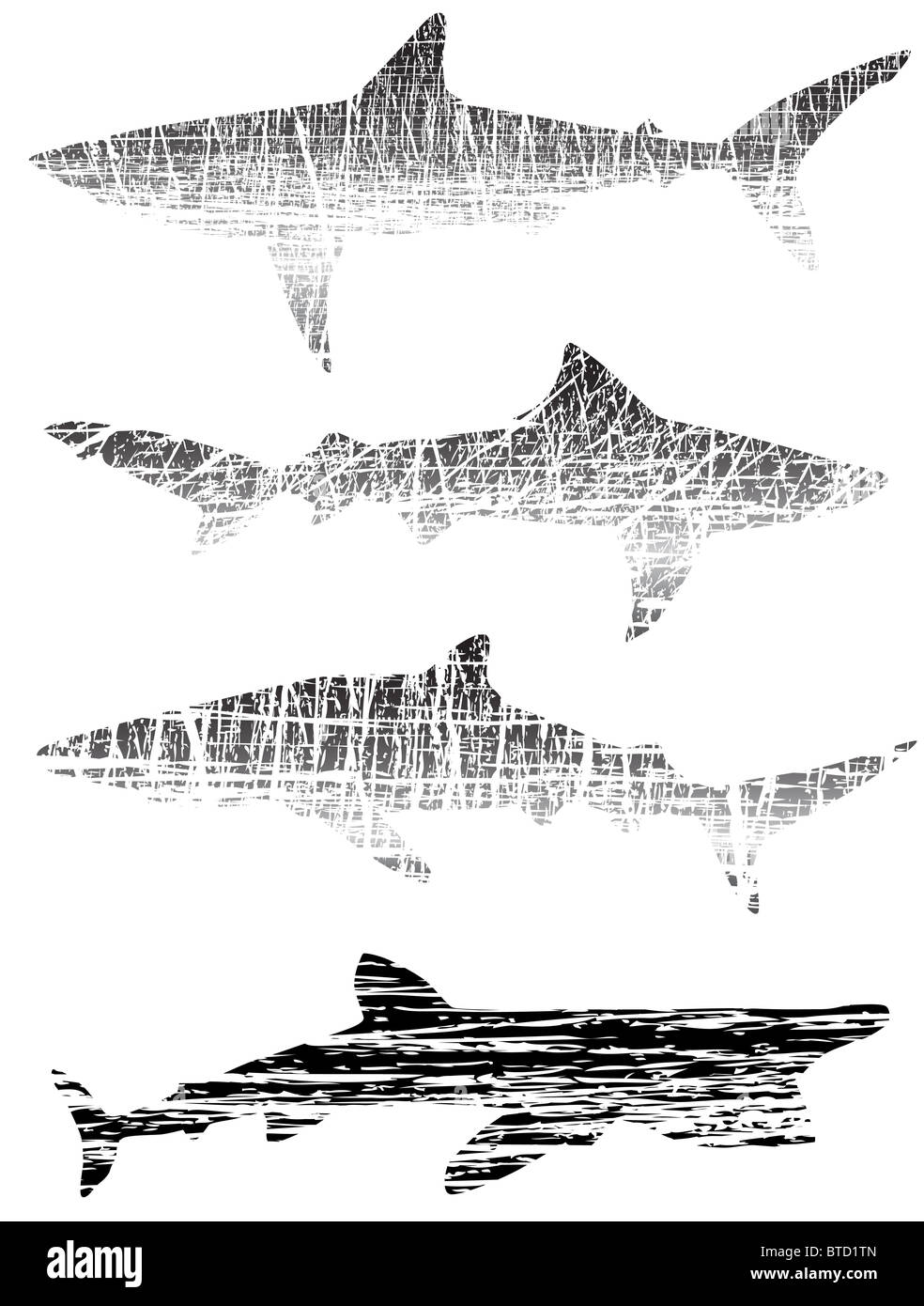 Umrisse der Haie mit Grunge illustriert Stockfoto