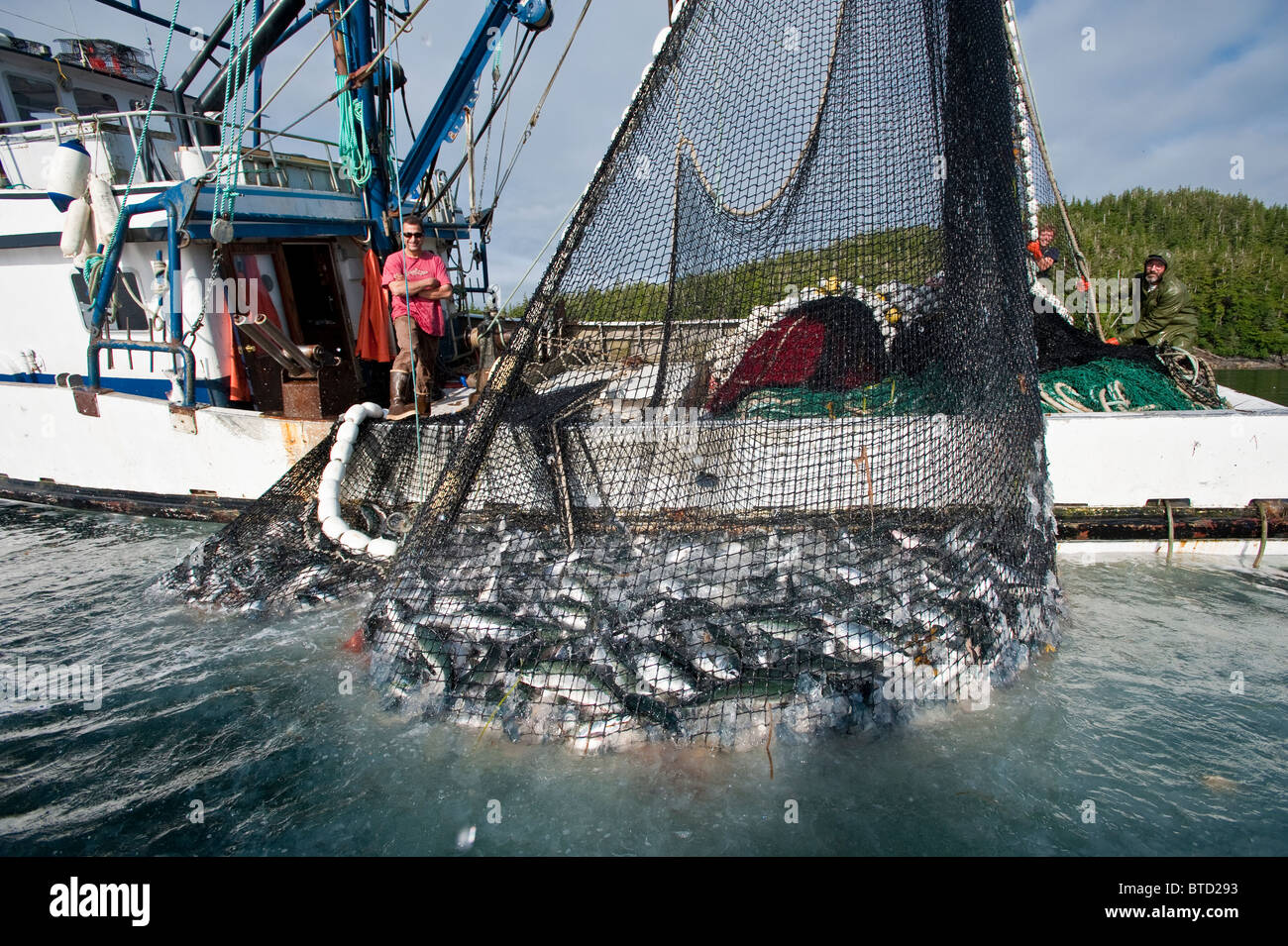 Prince William Sound, Alaska. eine glückliche angler auf seinem Boot mit seinen Fang von Pink Lachs in einer Net in Alaska lächelnd. Stockfoto