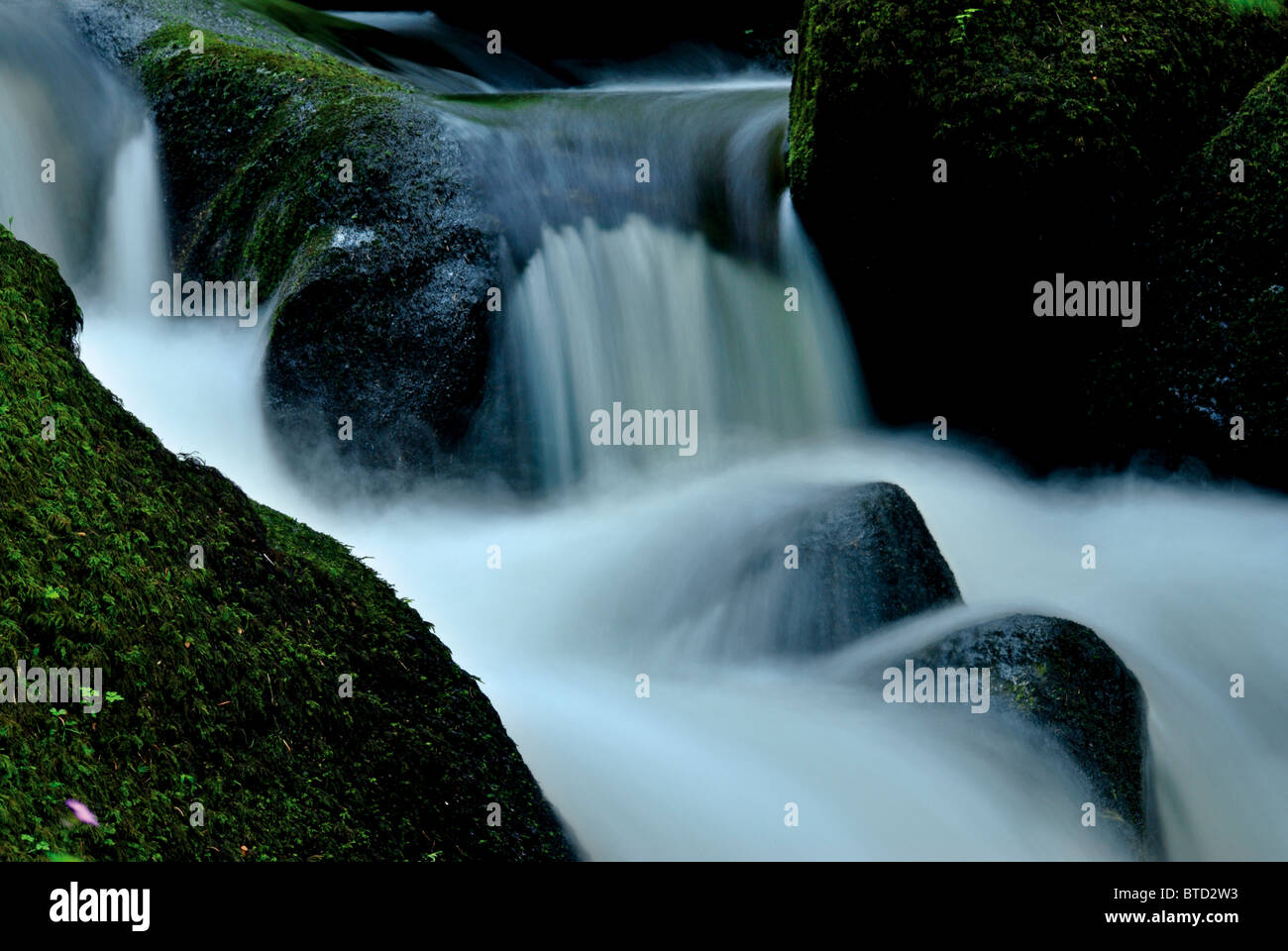 Deutschland, Schwarzwald: Detail von den höchsten Wasserfällen Deutschlands in Triberg Stockfoto