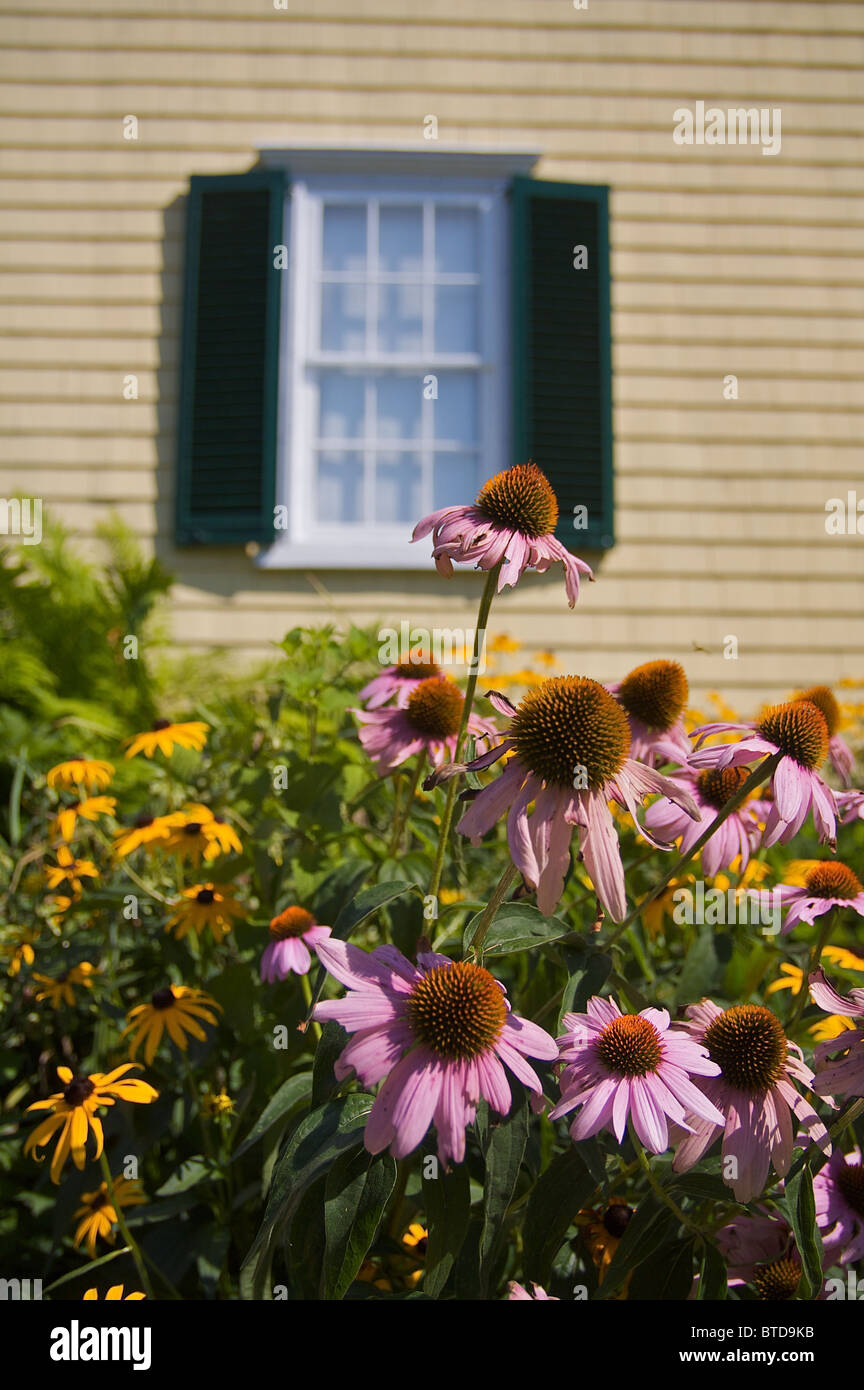 Blumen wachsen in der Nähe der Museen auf dem Grün in Falmouth, Massachusetts Stockfoto