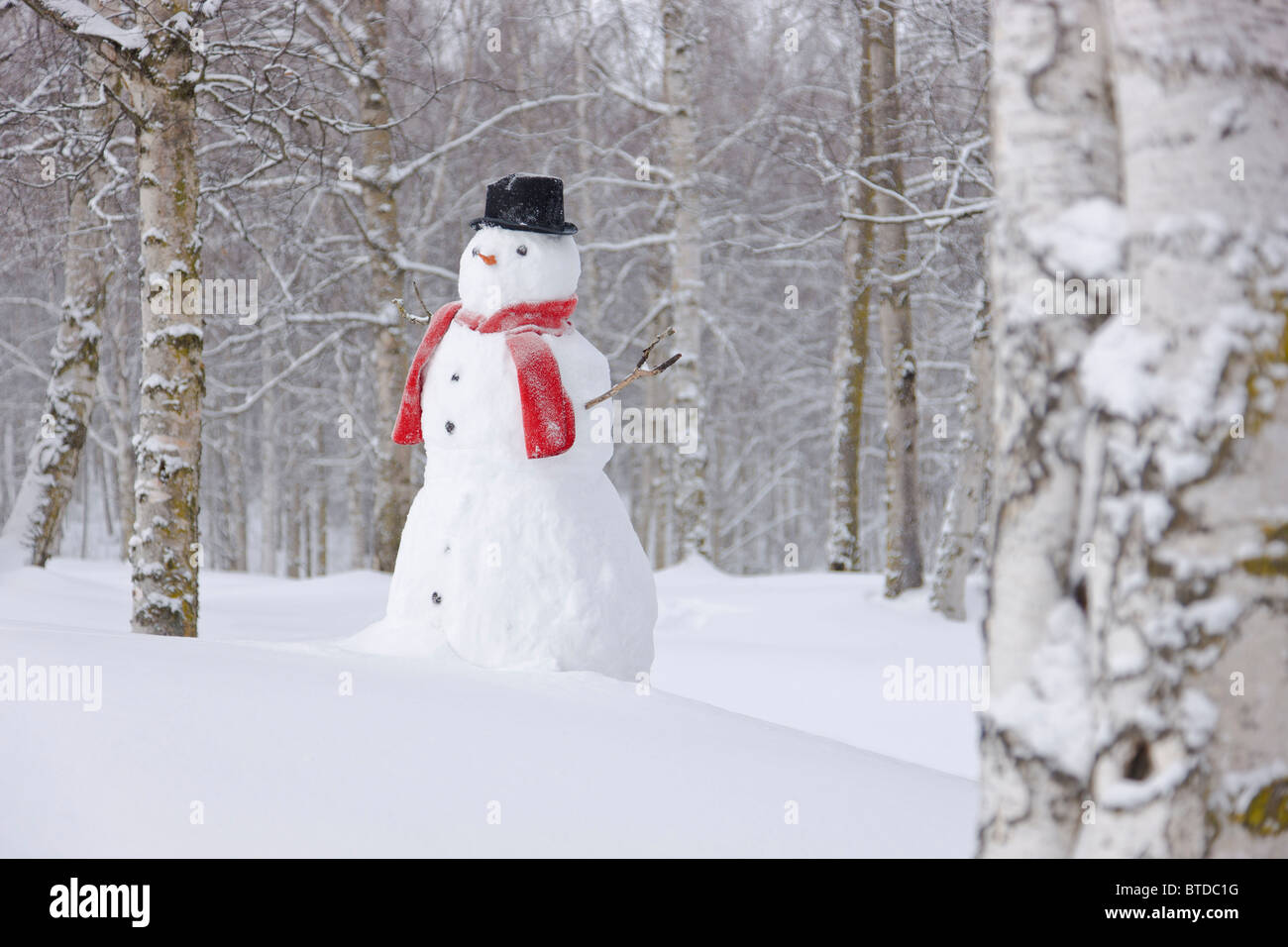 Schneemann stehend im Schnee bedeckt Birkenwald, Anchorage, Alaska, Winter Stockfoto