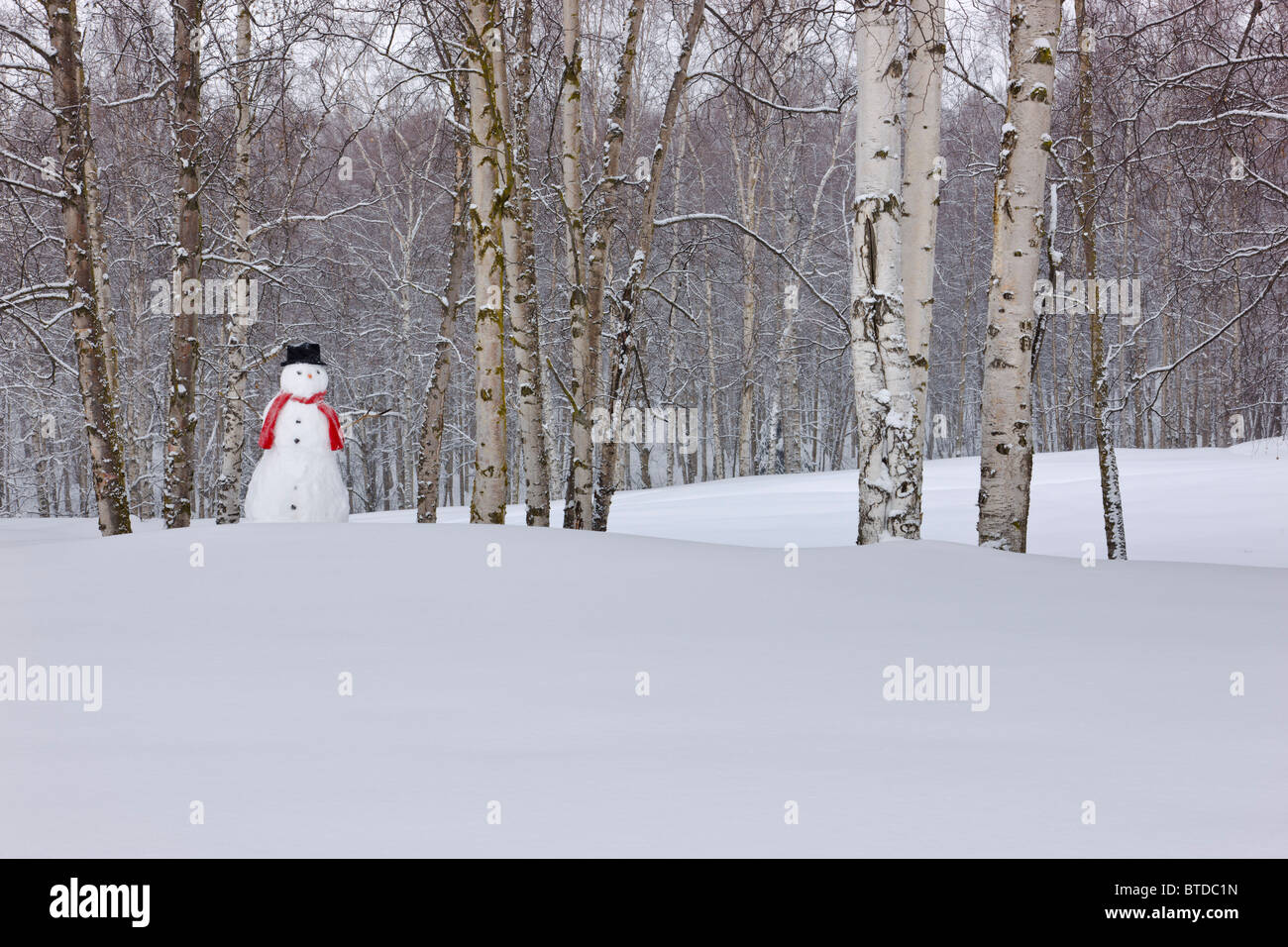 Schneemann stehend im Schnee bedeckt Birkenwald, Anchorage, Alaska, Winter Stockfoto