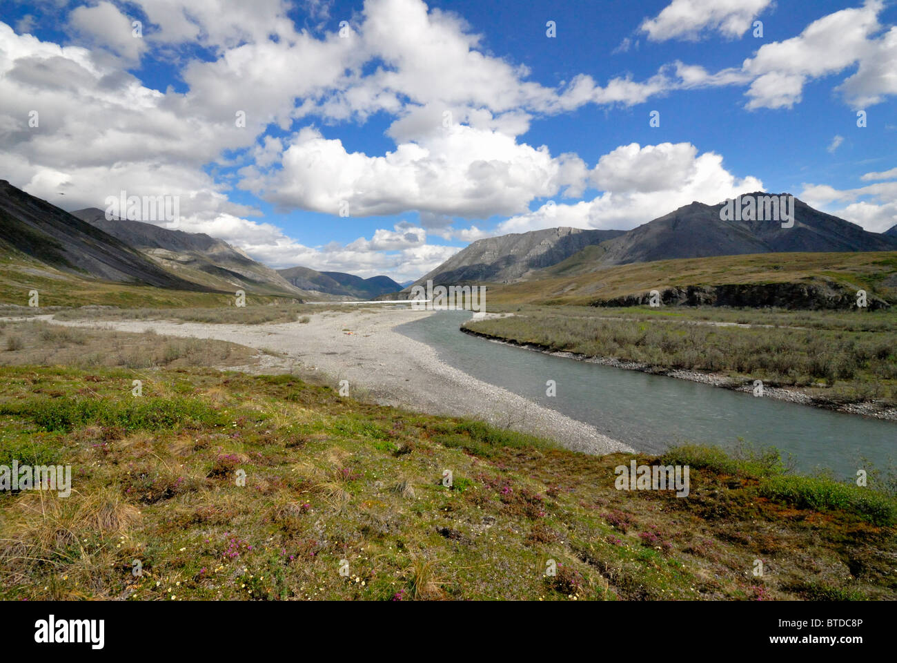 Malerischen Blick Drain Creek Rollbahn (beliebte Put-für Sparren) auf dem Kongakut River, ANWR, Arktis Alaska, Sommer Stockfoto