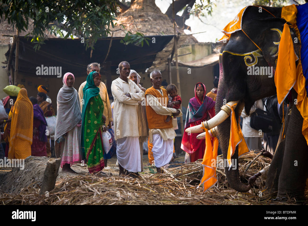 Pilger mit Neugier und Respekt bei die Elefanten auf das Sonepur Tier Messe Indiens größte jährliche Viehmarkt, Stockfoto