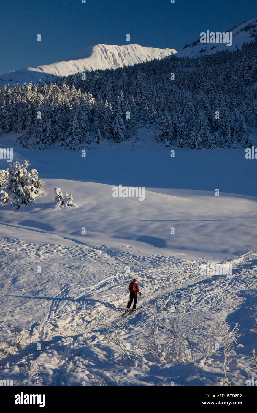 Cross Country Ski Skifahren im Turnagain Pass, Yunan Alaska Stockfoto