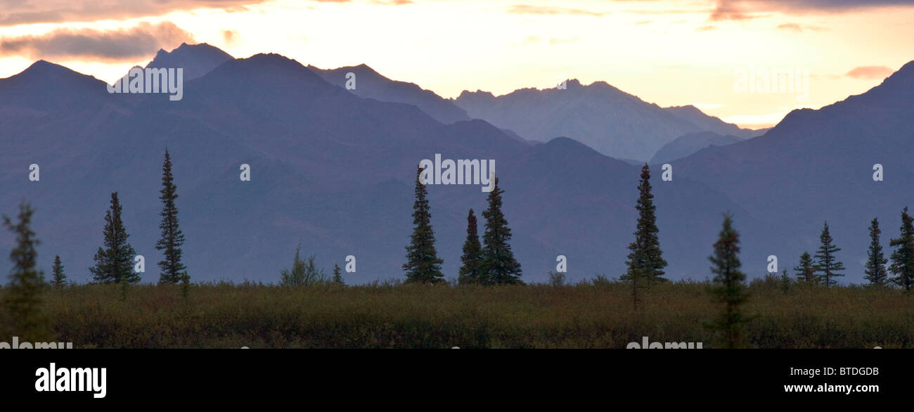 Sonnenuntergang über die Alaska Range in der Nähe von 7 Meilen von der Parkstraße in Denali Nationalpark und Reservat, Alaska Interior, Sommer Stockfoto