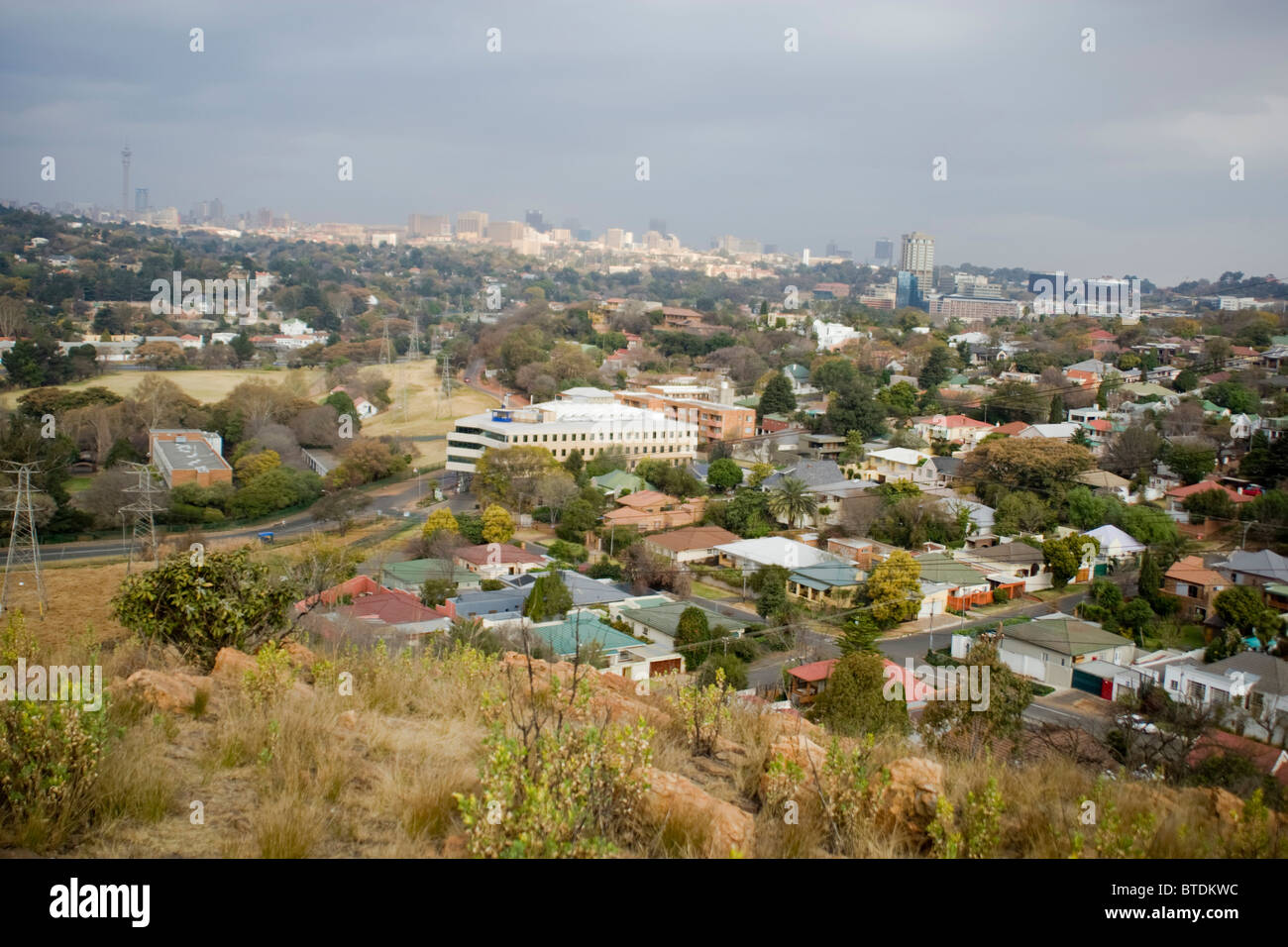 Die Skyline von Johannesburg von Melville Koppies gesehen Stockfoto