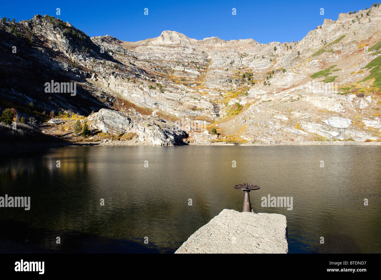 Engel-See in der Nähe Brunnen Nevada im Herbst mit brillant gold Aspen Hülle umgebenden Hügeln Stockfoto