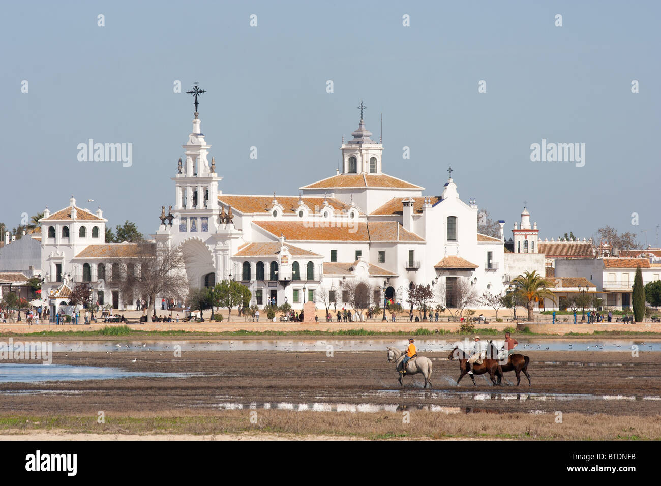 Pferde in den Sümpfen vor dem Dorf El Rocio, Huelva, Spanien Stockfoto