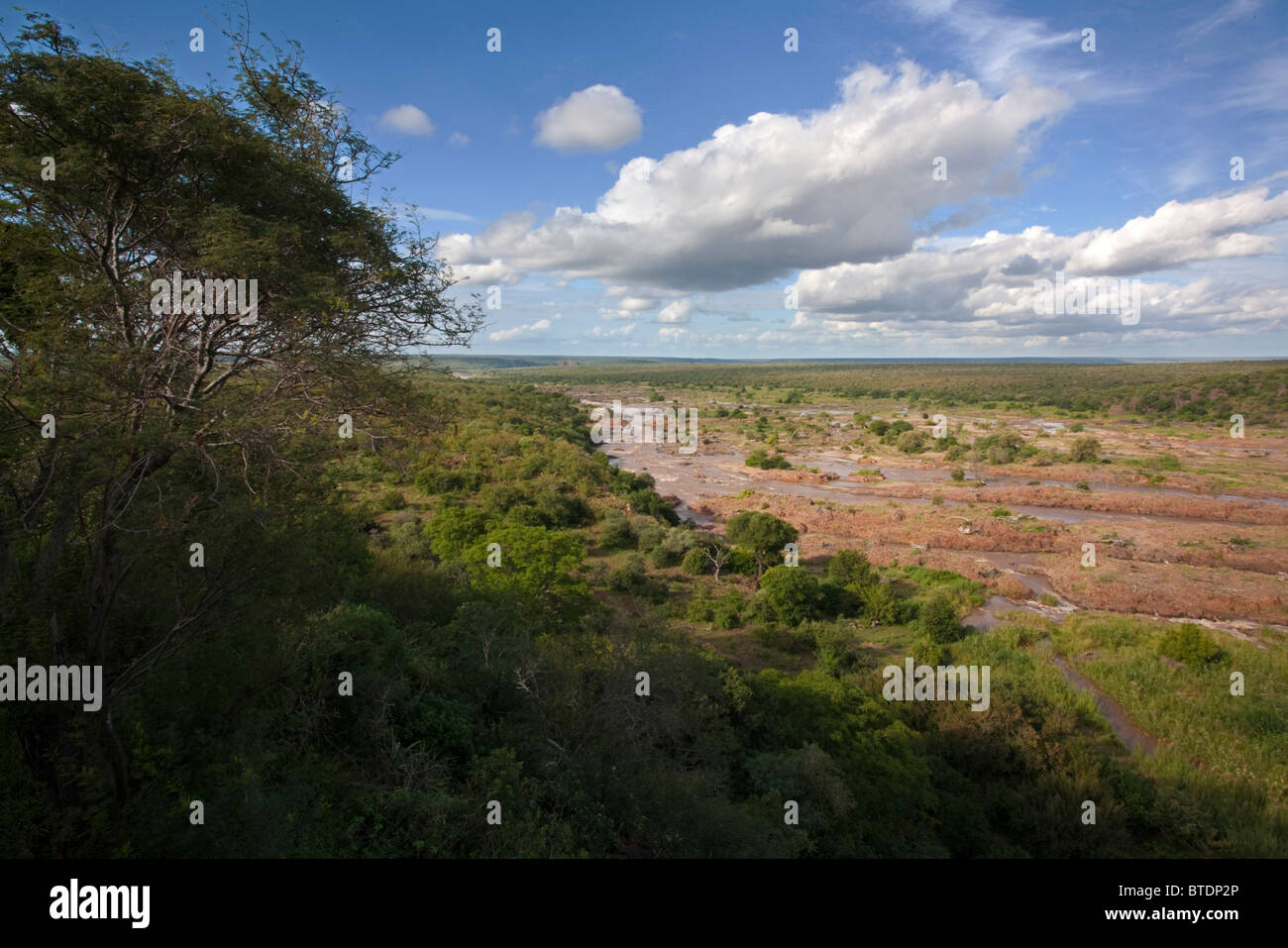 Einen Panoramablick über den Olifants River von Olifants Camp im Krüger Park Stockfoto