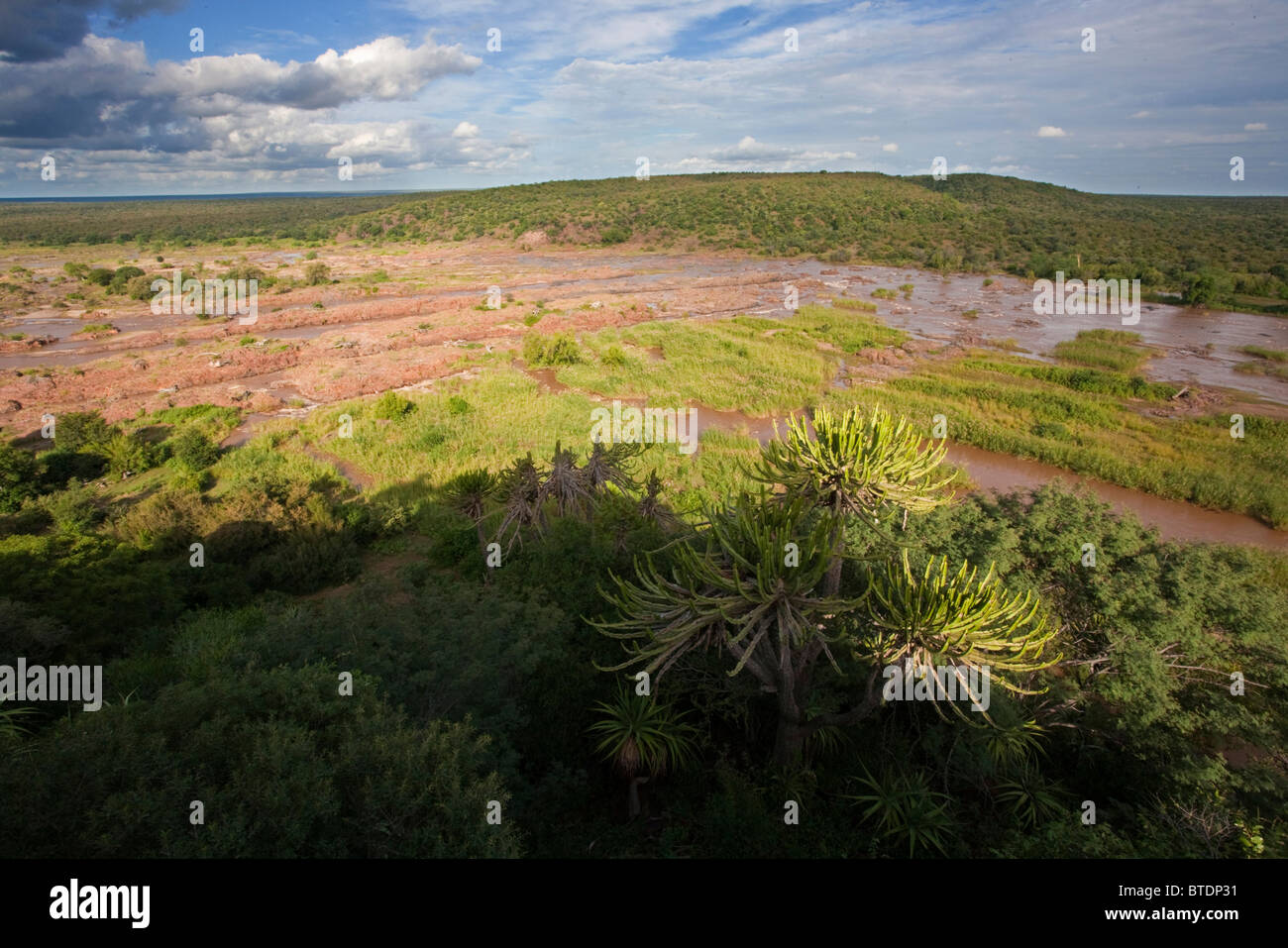 Einen Panoramablick über den Olifants River von Olifants Camp im Krüger Park Stockfoto