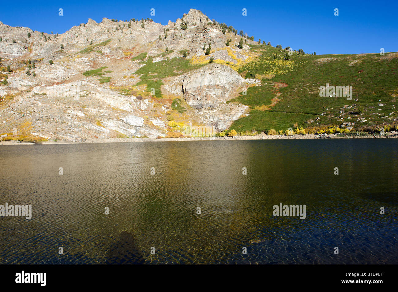 Engel-See in der Nähe Brunnen Nevada im Herbst mit brillant gold Aspen Hülle umgebenden Hügeln Stockfoto