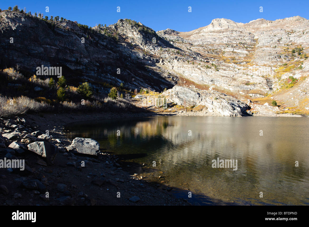 Engel-See in der Nähe Brunnen Nevada im Herbst mit brillant gold Aspen Hülle umgebenden Hügeln Stockfoto