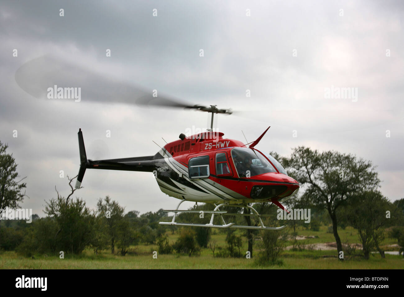 Eine rote, schwarze und weiße Bell Jet Ranger Helikopter abheben Stockfoto