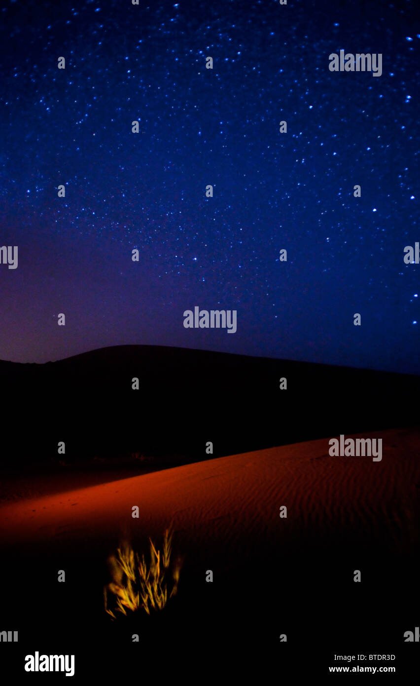 Ein Sternenhimmel in der Wüste Sahara Stockfoto