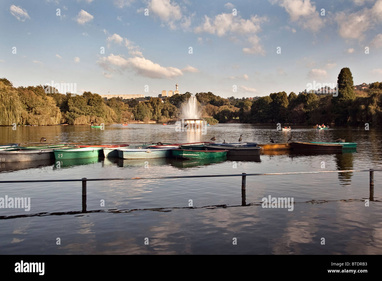 Ruderboote am Zoo Lake mit einem Brunnen im Hintergrund Stockfoto