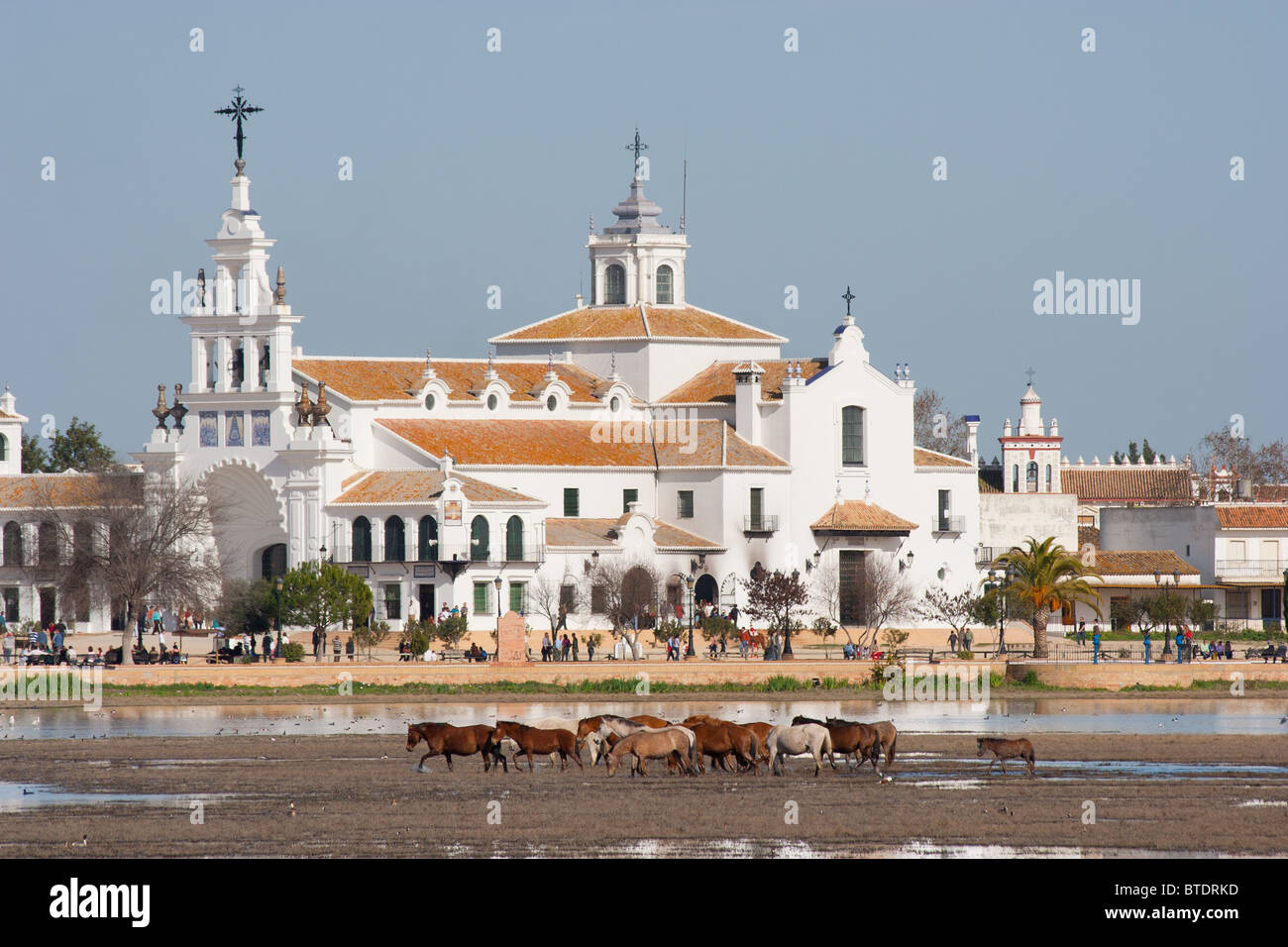 Pferde in den Sümpfen vor dem Dorf El Rocio, Huelva, Spanien Stockfoto