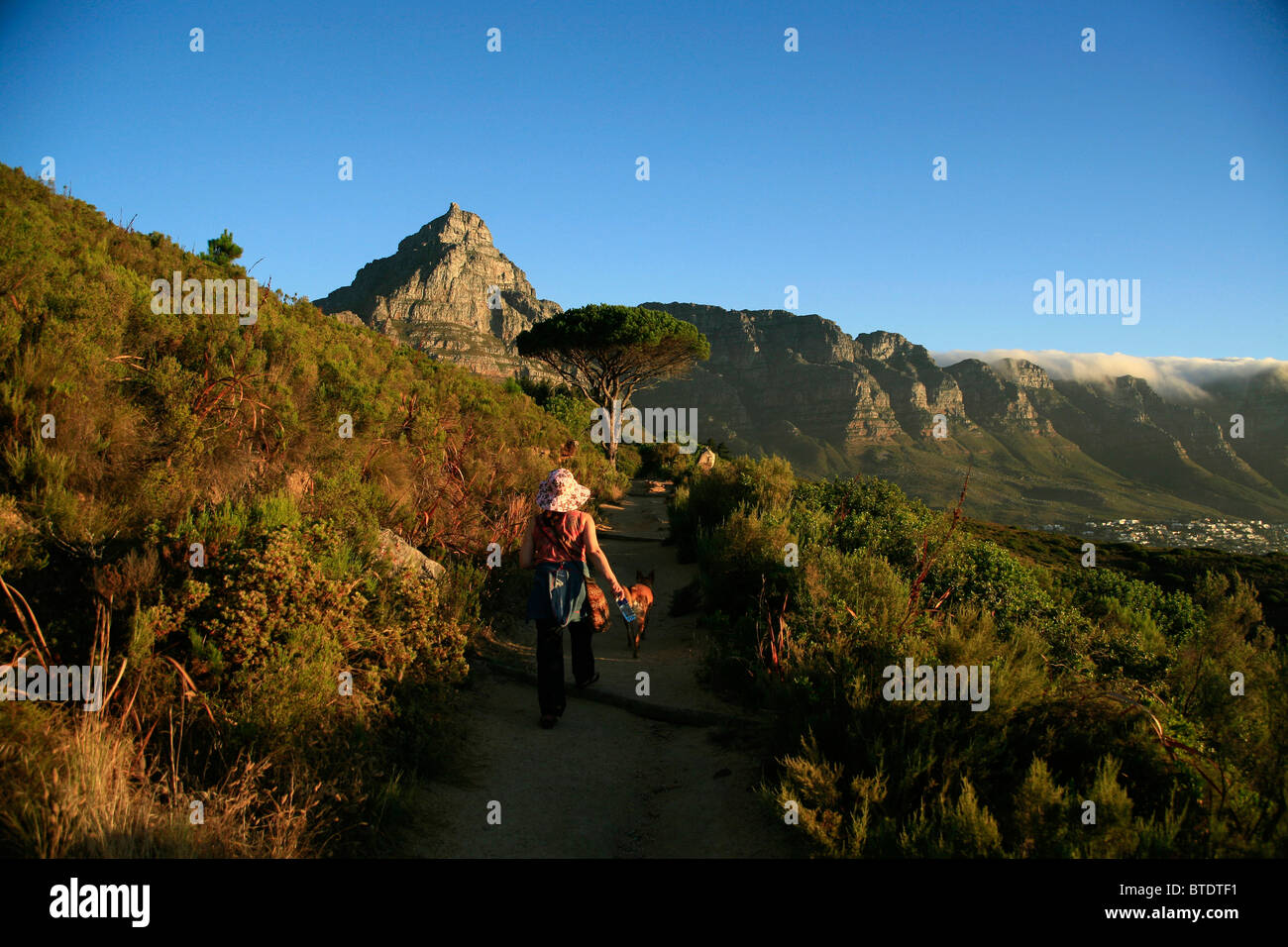 Wanderer mit Hund auf Wanderweg zu Fuß unter Tafelberg, Lions Head und die zwölf Apostel in der Ferne Stockfoto