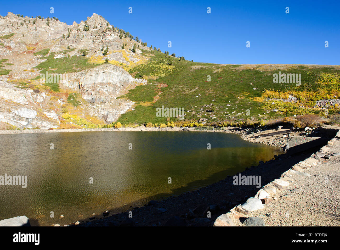 Engel-See in der Nähe Brunnen Nevada im Herbst mit brillant gold Aspen Hülle umgebenden Hügeln Stockfoto