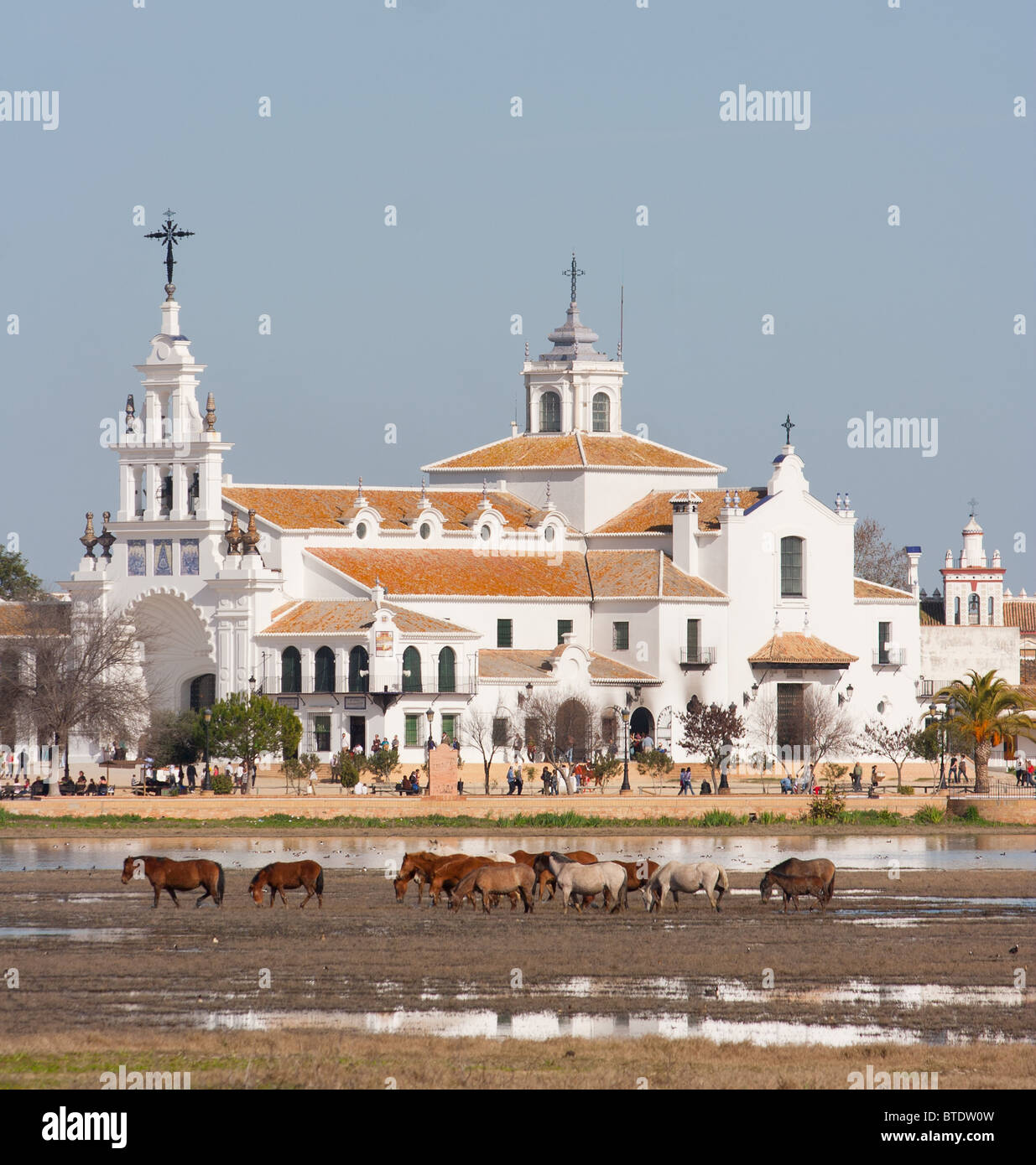 Pferde in den Sümpfen vor dem Dorf El Rocio, Huelva, Spanien Stockfoto
