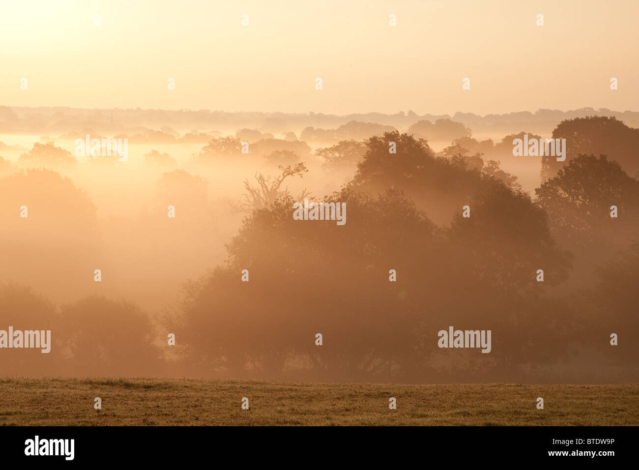 Nebligen Sonnenaufgang vom Hausierer der Weg am Rande der Horsham in West Sussex Stockfoto