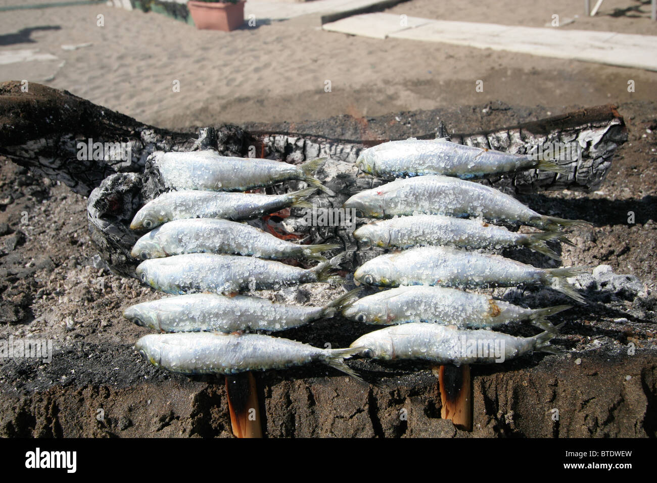 Frische Sardinen gegrillt auf ein Barbecue am Strand, Costa Del Sol