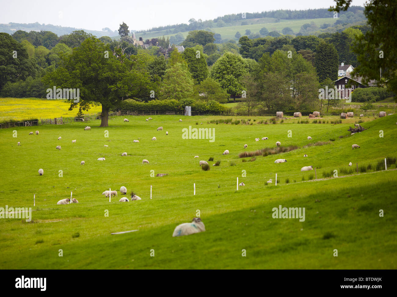 Blick Richtung Gewächshäuser aus Torf Lane, Pateley Bridge, nidderdale, North Yorkshire.de Stockfoto