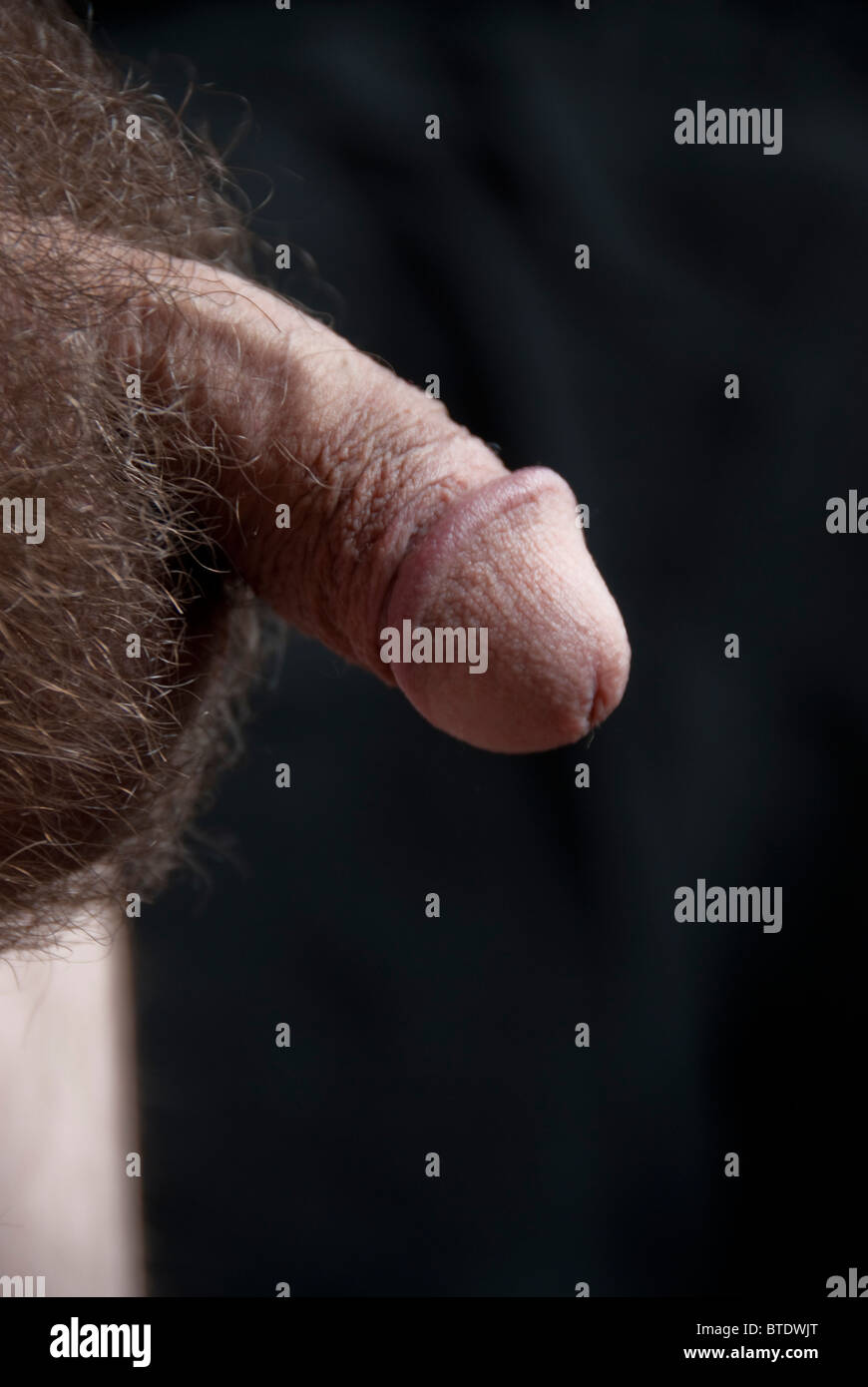 Penis Alter Mann Penis Alter Mann