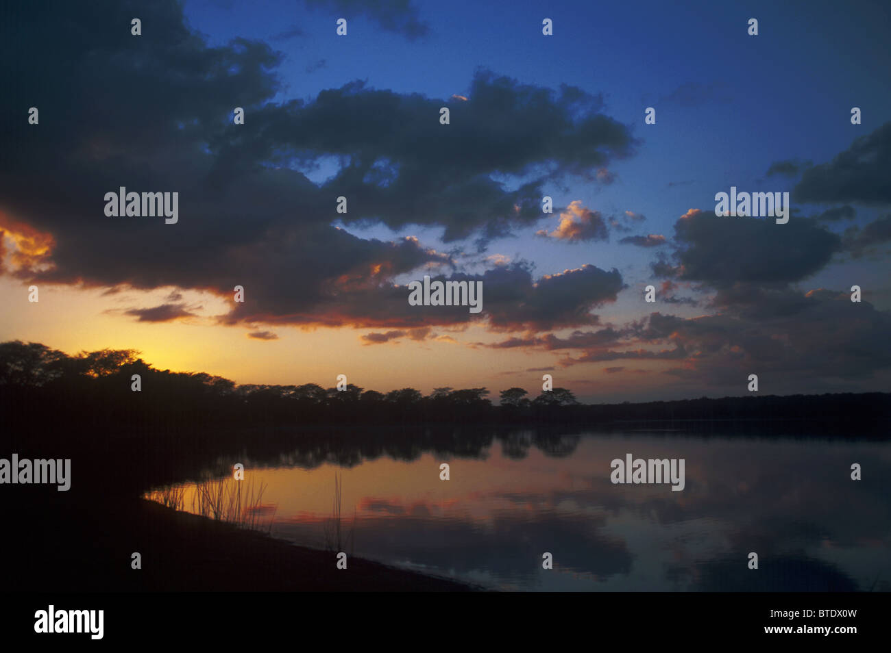 Sonnenaufgang über dem Nyamithi Pan mit Fieber Bäume (Acacia Xanthophloea) spiegelt sich im Wasser Stockfoto