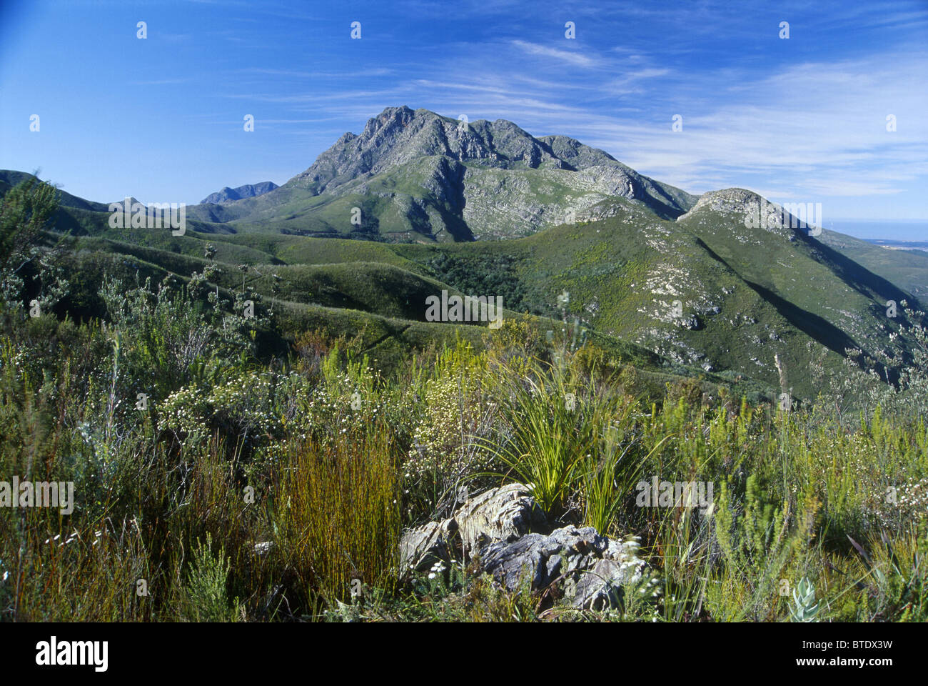 George Peak (1579m Amsl) in den Outeniqua-Bergen des südlichen Kaps Stockfoto