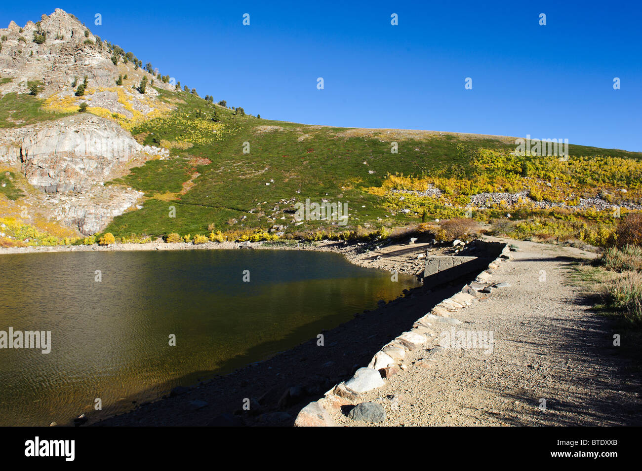 Engel-See in der Nähe Brunnen Nevada im Herbst mit brillant gold Aspen Hülle umgebenden Hügeln Stockfoto