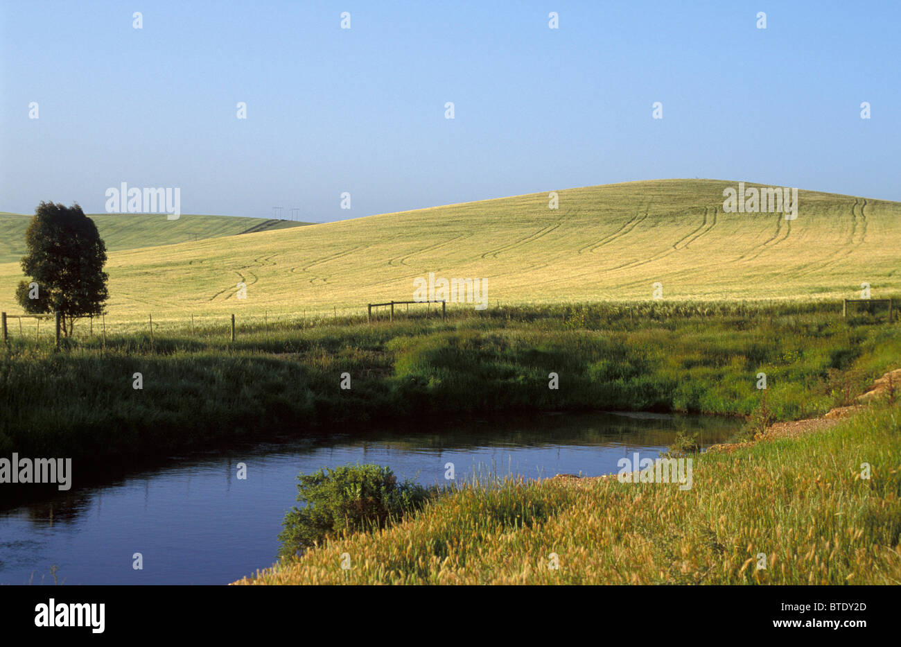 Malerische Landschaft mit sanften Hügeln und einem kleinen Damm im Vordergrund Stockfoto