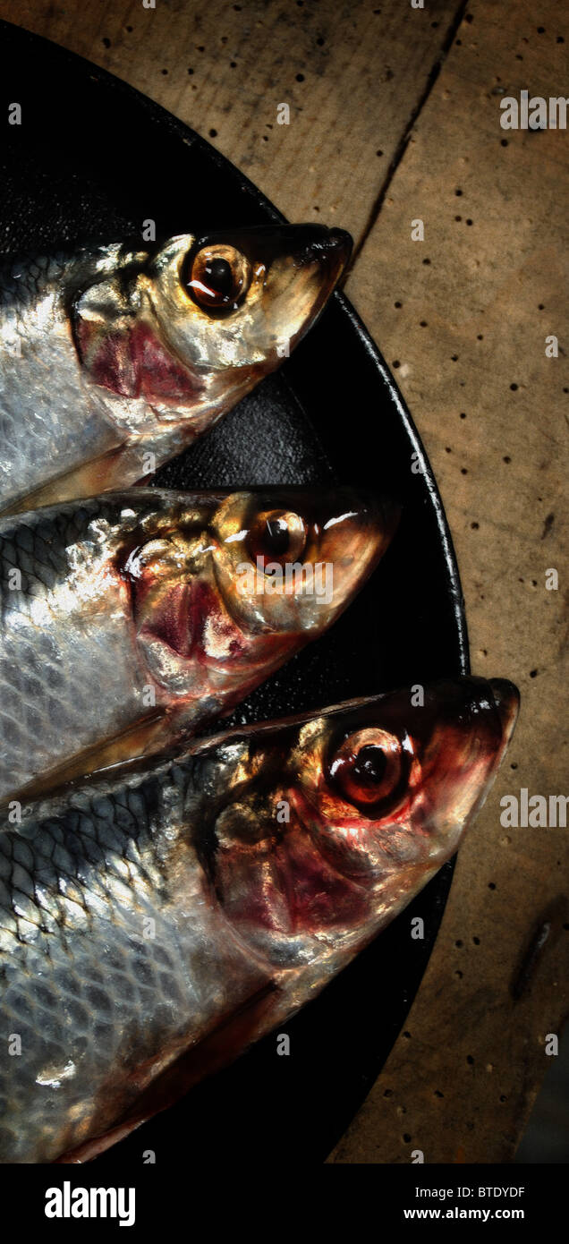 Pfanne gebratenen Heringe zum Abendessen Stockfoto