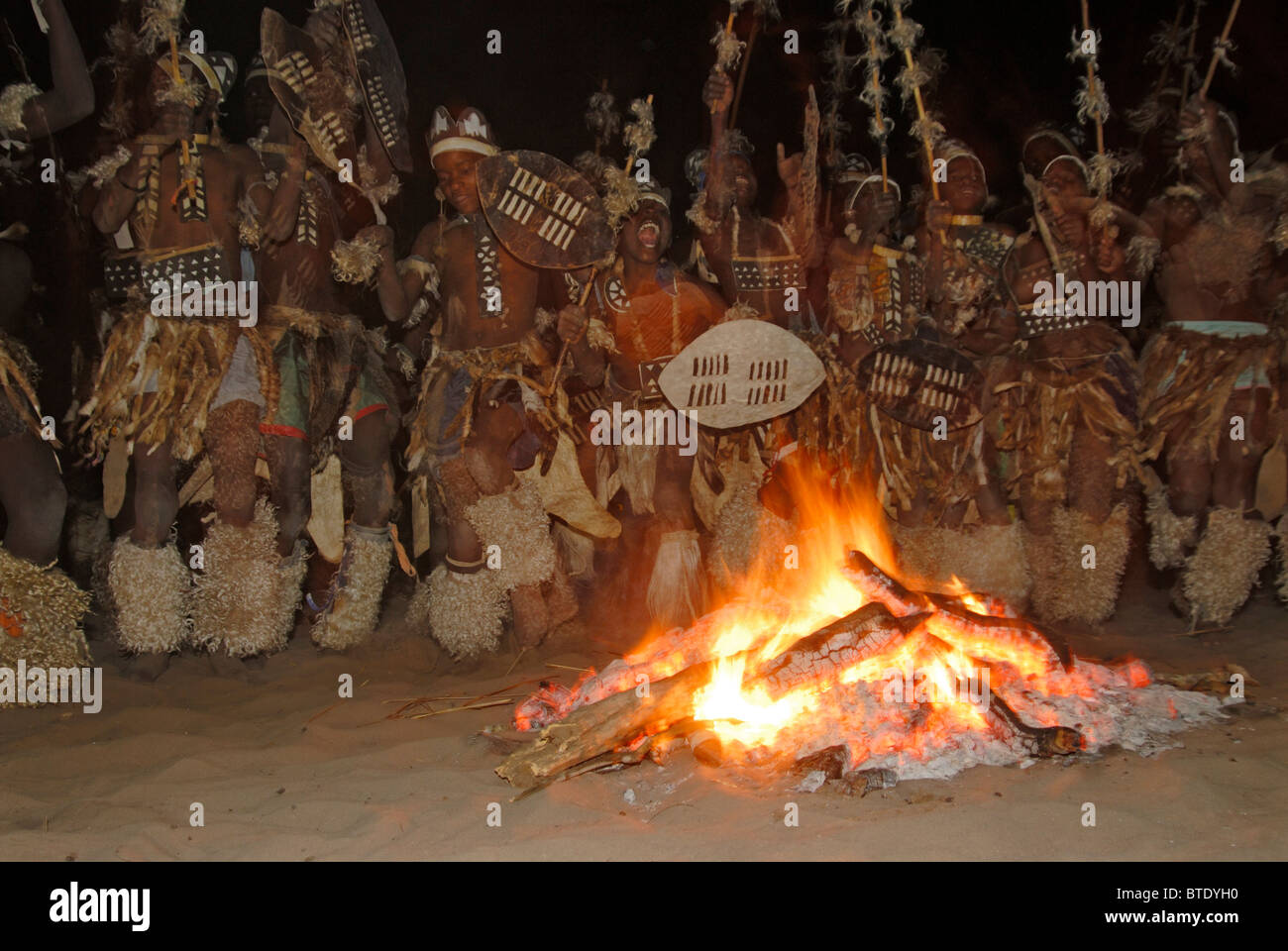 Zulu-Krieger tanzen um das Feuer Stockfoto