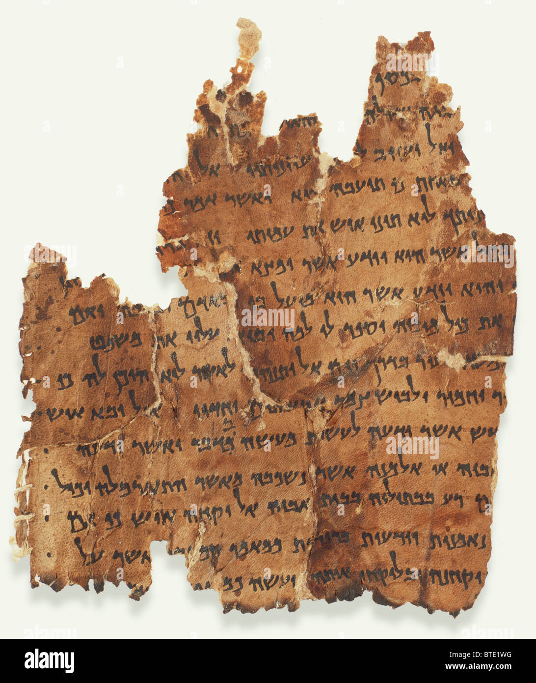 5469. einer der vielen tausend Fragmente der Schriftrollen in Qumran auf Pergament geschrieben gefunden. Stockfoto