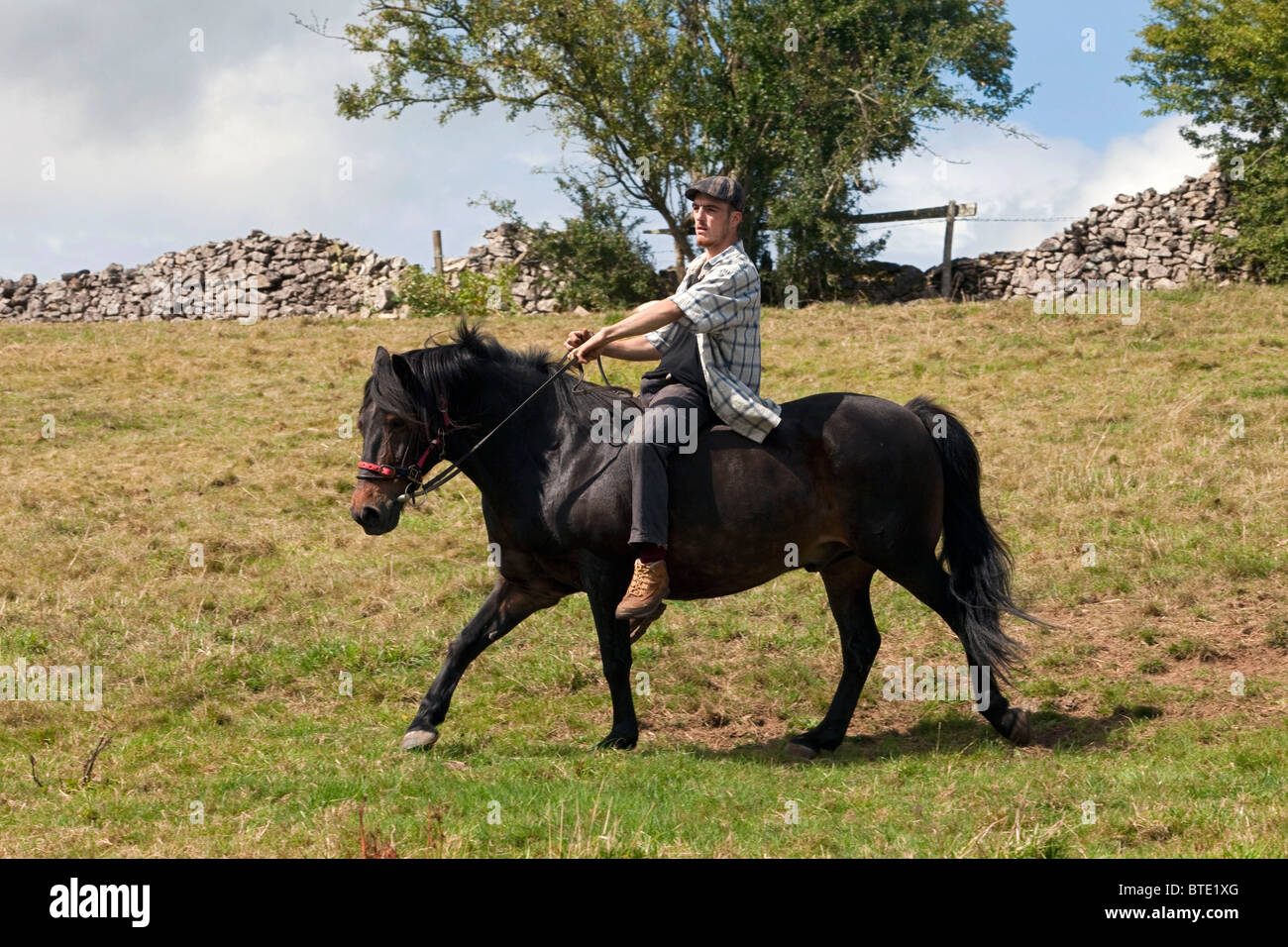 Nackt pferd reiten. Nacktreiten • Landtreff. 2019-09-01 Nackt pferd reiten. Nacktreiten • Landtreff. 2019-09-01