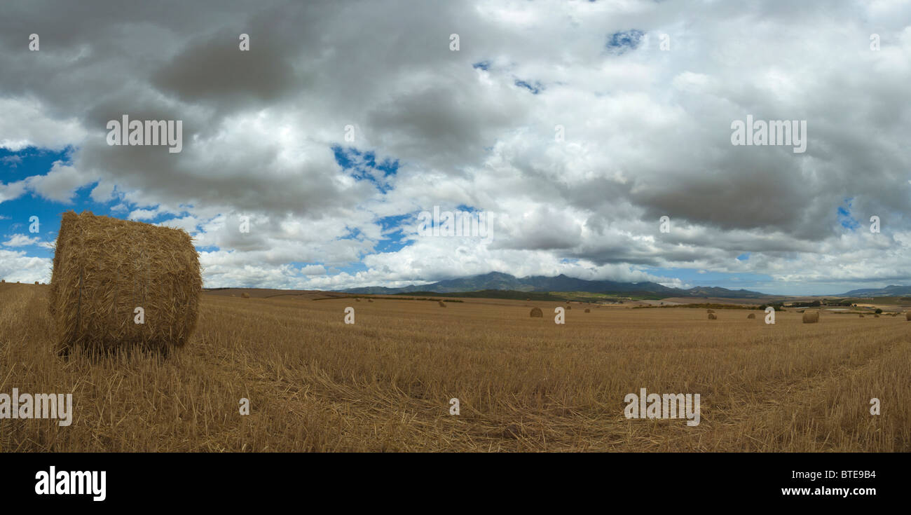 Ein Ballen Heu mit Gewitterwolken über Kopf sammeln Stockfoto