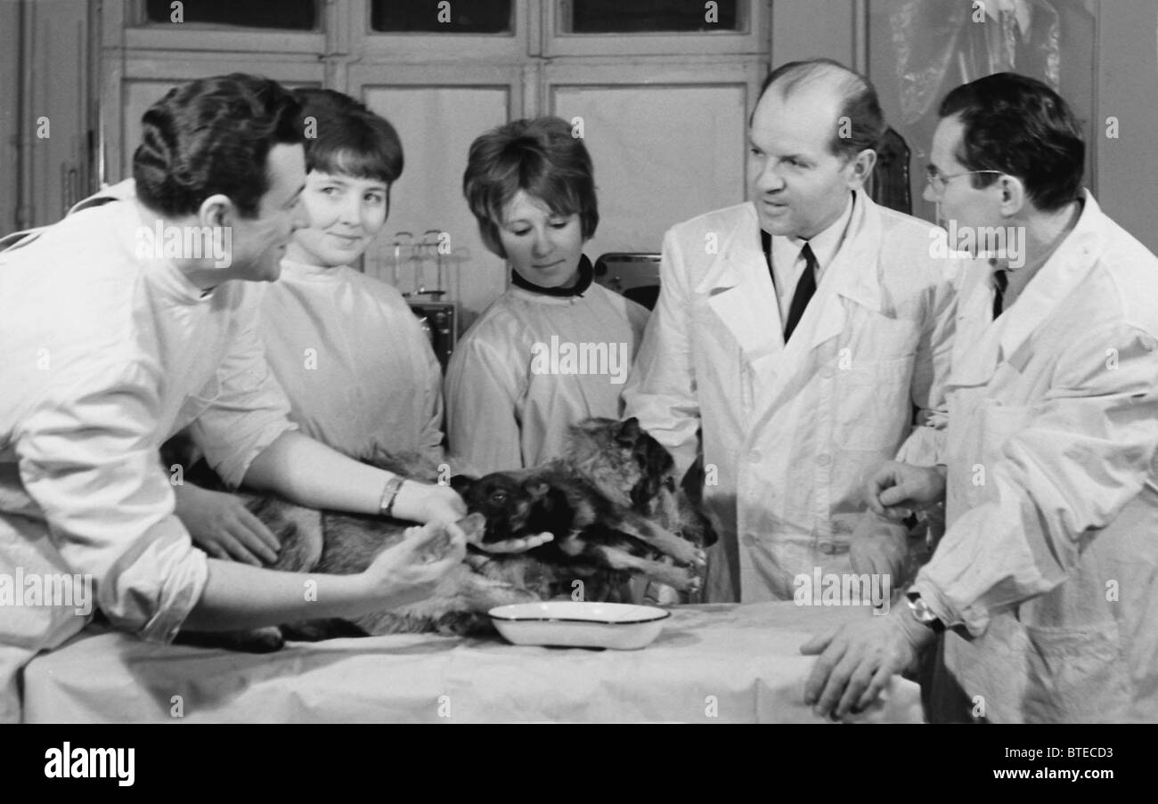 Yu.F.Gerey, A.P.Dekhtyarenko, T.I.Lysaya, V.P.Demikhov und N.P.Adamenko  deinen Hund mit einem bepflanzten Kopf. 1968 Stockfotografie - Alamy
