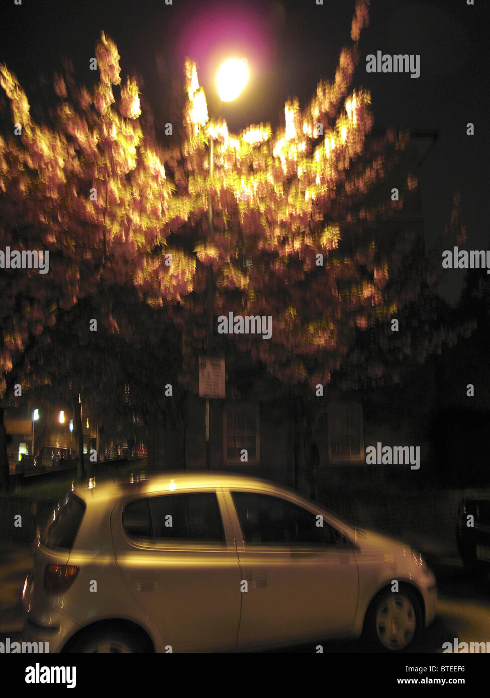 Auto in der Nacht unter der Straßenlaterne geparkt Stockfoto