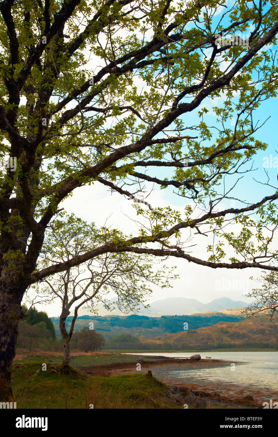 Blickrichtung Nordwesten Beinn eine Tuim aus Süd Garvan auf Loch Eil. In der Nähe von Fort William. Schottland Stockfoto