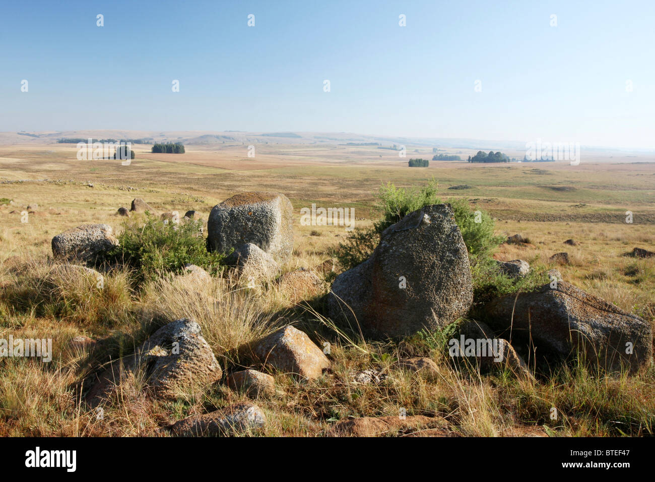 Panoramablick über Trockenrasen mit Felsen im Vordergrund auf Dullstroom Stockfoto