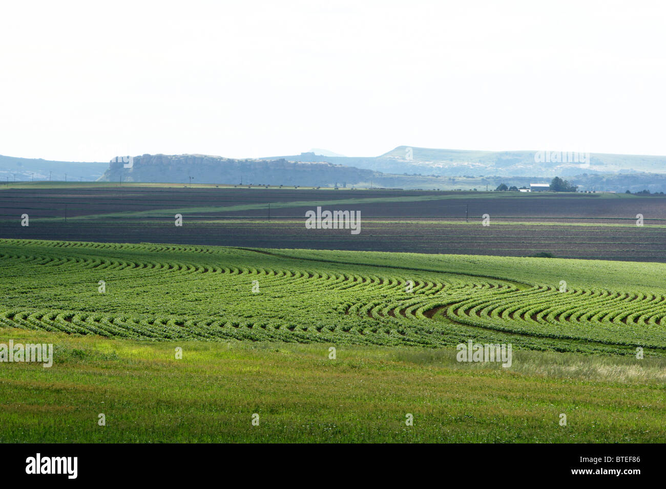 Landschaft mit Feldern Stockfoto