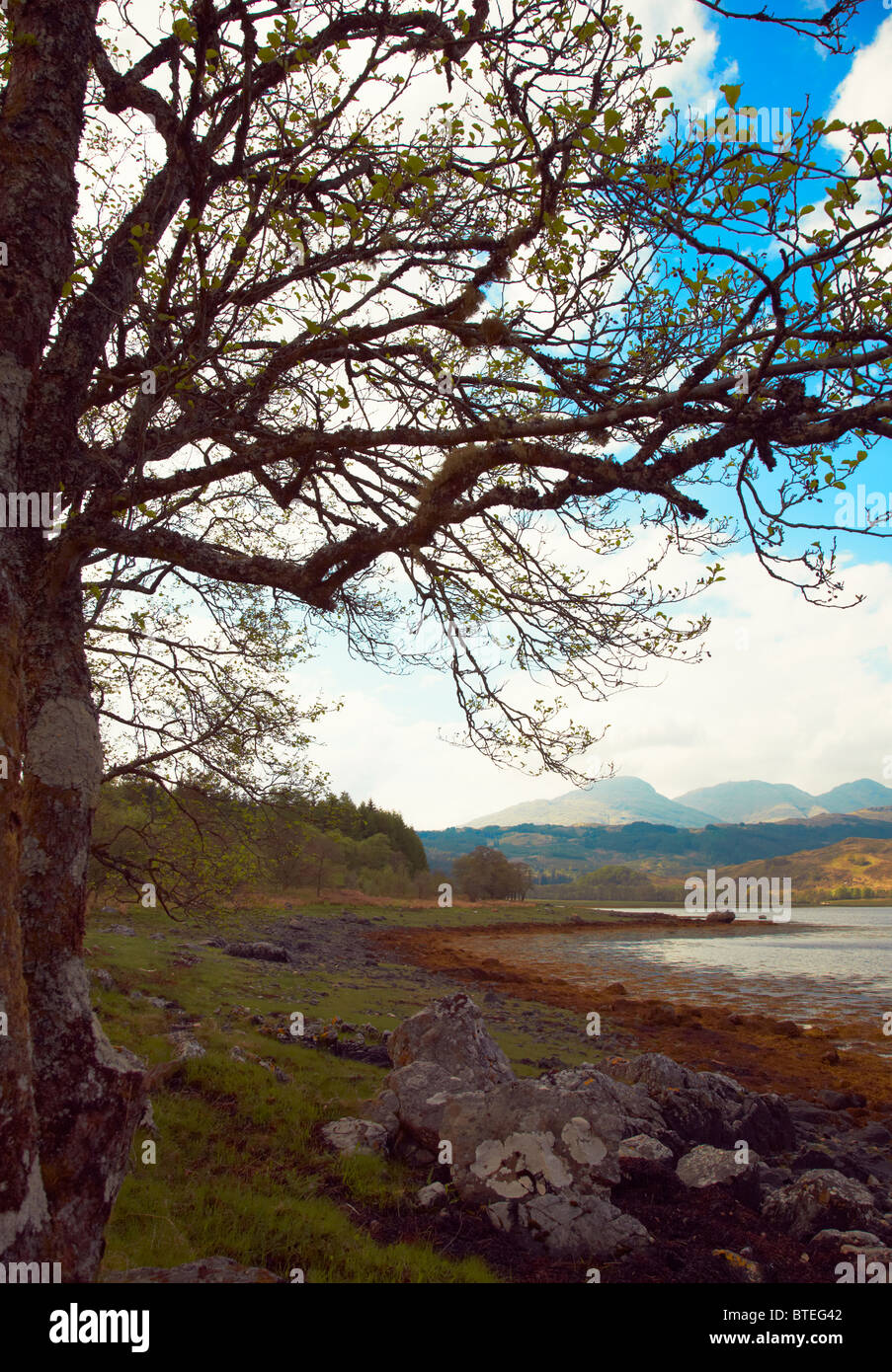 Blickrichtung Nordwesten Beinn eine Tuim aus Süd Garvan auf Loch Eil. In der Nähe von Fort William. Schottland Stockfoto