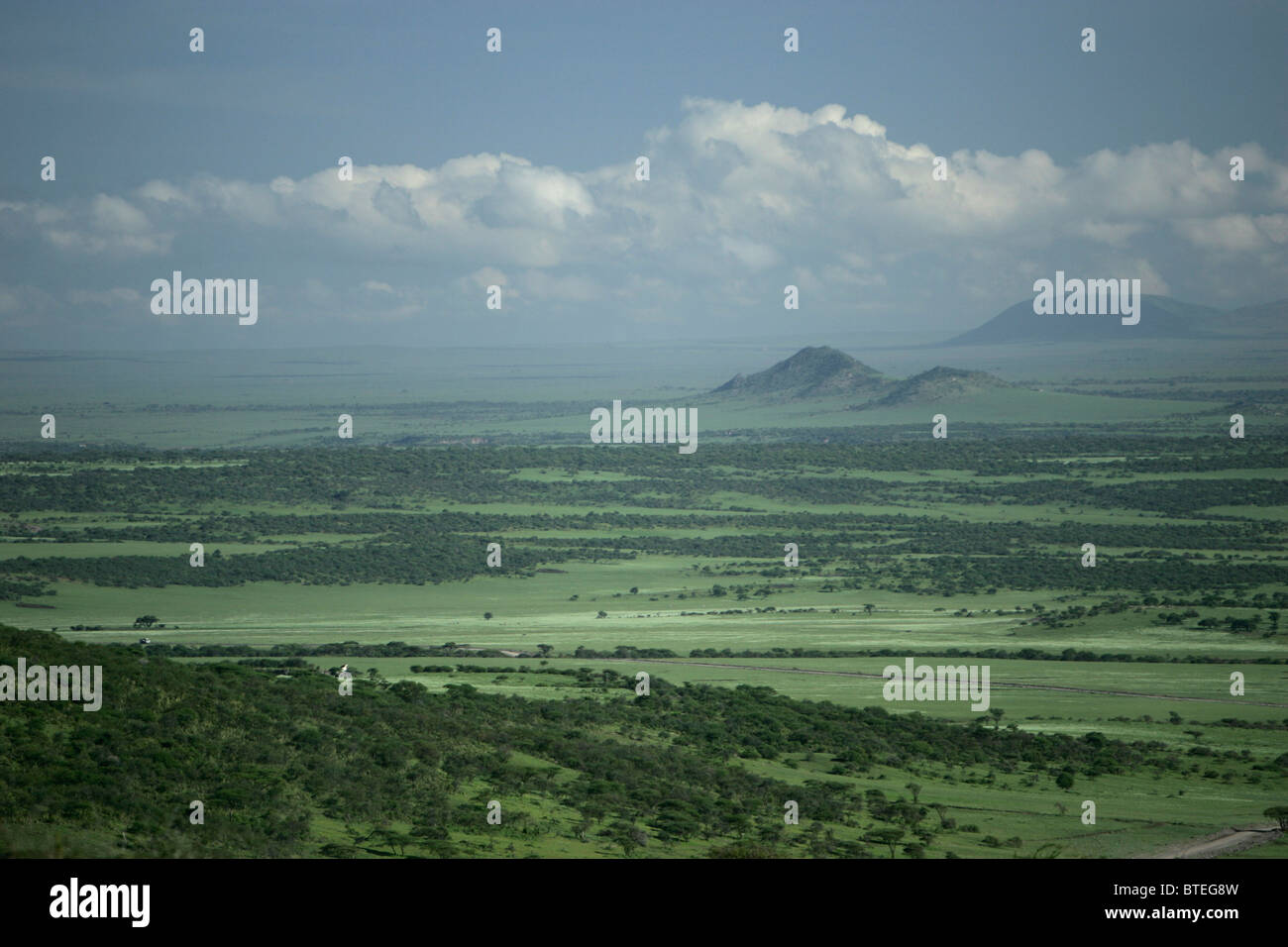 Landschaft auf dem Weg zur Serengeti Stockfoto