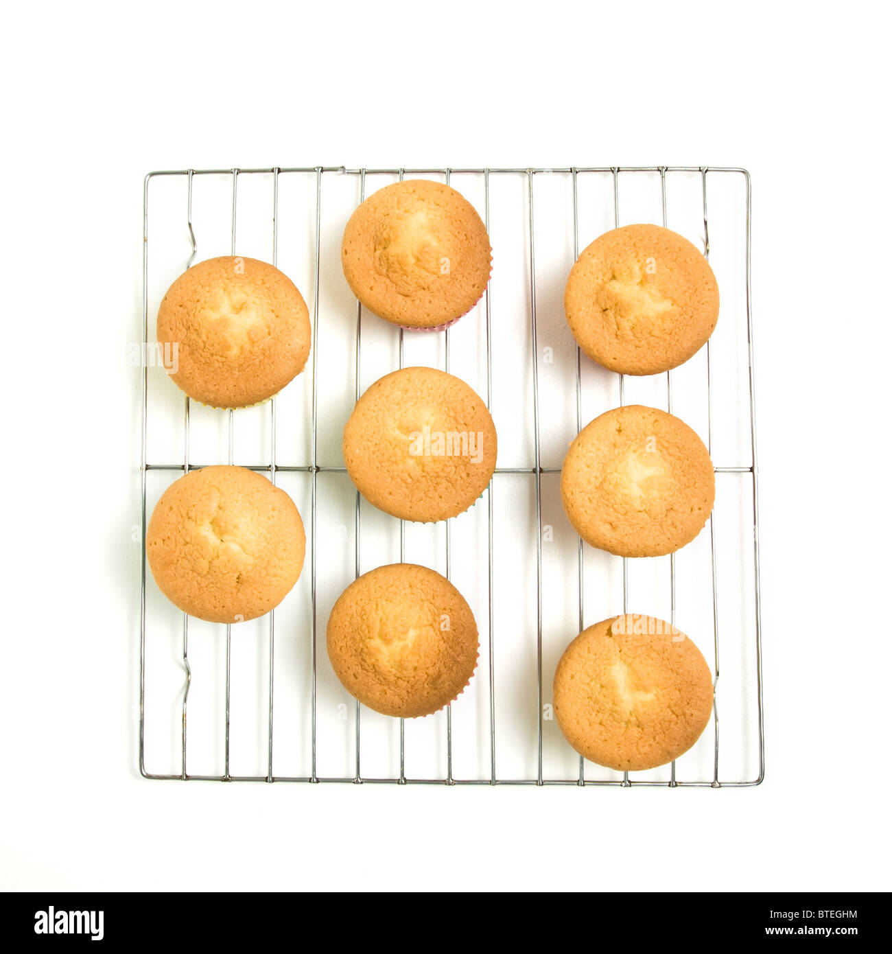 Home gebackene Muffins abkühlen auf Draht mesh Rack aus niedrigen Perspektive isoliert auf weiss. Stockfoto