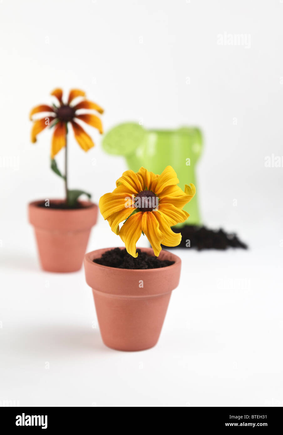 Zwei Mini können Blumentöpfe mit Mini-Bewässerung Stockfoto