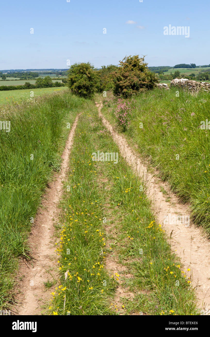 Icknield Street oder Ryknild Street, eine römische Straße, bekannt als Condicote Lane, S des Cotswold Dorfes Condicote, Gloucestershire, Großbritannien Stockfoto