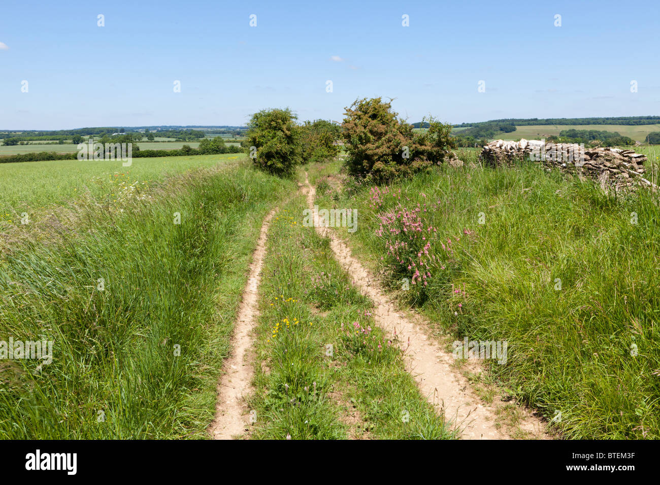 Icknield Street oder Ryknild Street, eine römische Straße, bekannt als Condicote Lane, S des Cotswold Dorfes Condicote, Gloucestershire, Großbritannien Stockfoto
