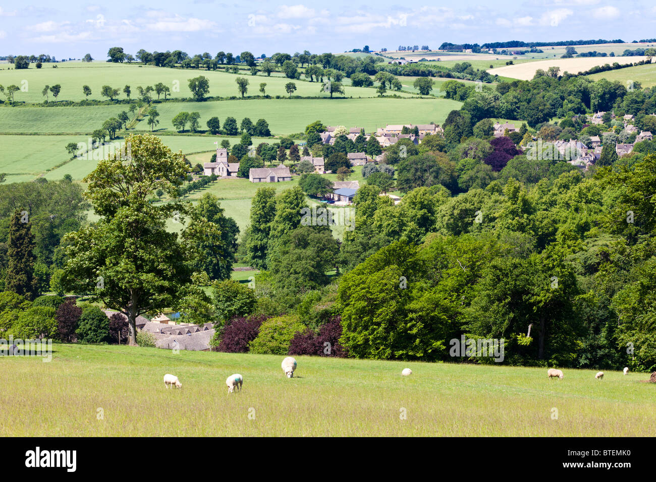 Schafe grasen auf den Hügeln oberhalb der Cotswold Dorf Guiting Power, Gloucestershire Stockfoto